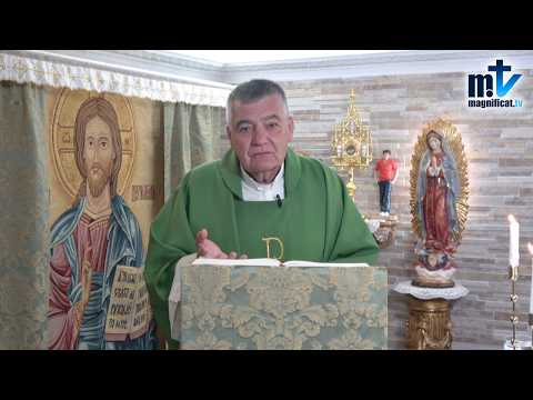 “Tus Pecados están Perdonados, si Quieres” | Homilía, Jueves XIII Semana del T.O | P. Santiago M