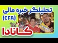 تحلیلگر خبره مالی مصاحبه با میثم حسینی از اتاوا کانادا CFA مهندسی مالی 
