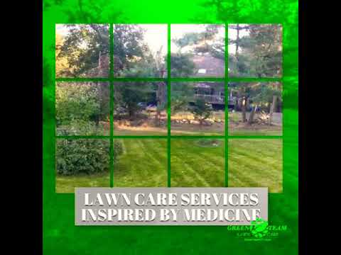 Green Team Lawn Care Services Madison Ct You Green Team Lawn Care Services Madison Ct