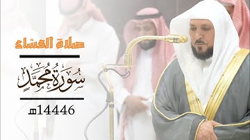 صلاة العشاء | ماهر المعيقلي | 11 شعبان 1446 هـ | سورة محمد