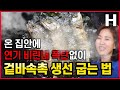 비린내 연기 없이 생선 굽기 꿀팁! 겉바속촉 생선구이 이것만 있으면 됩니다!