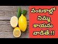 Health Benefits of Lemon | Health Tips In Telugu | Manandari Health