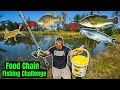 Food Chain Fishing Challenge in my Backyard (Crickets to BIG Fish!!)