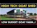High Tech GOAT SHED making at LOW COST | Goat Farming | Goat Farming Shed Design Ideas
