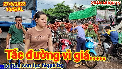 giá vải hôm nay 27/6/2023 tại tân sơn lục Ngạn Bắc Giang giá thị trường kém sôi động