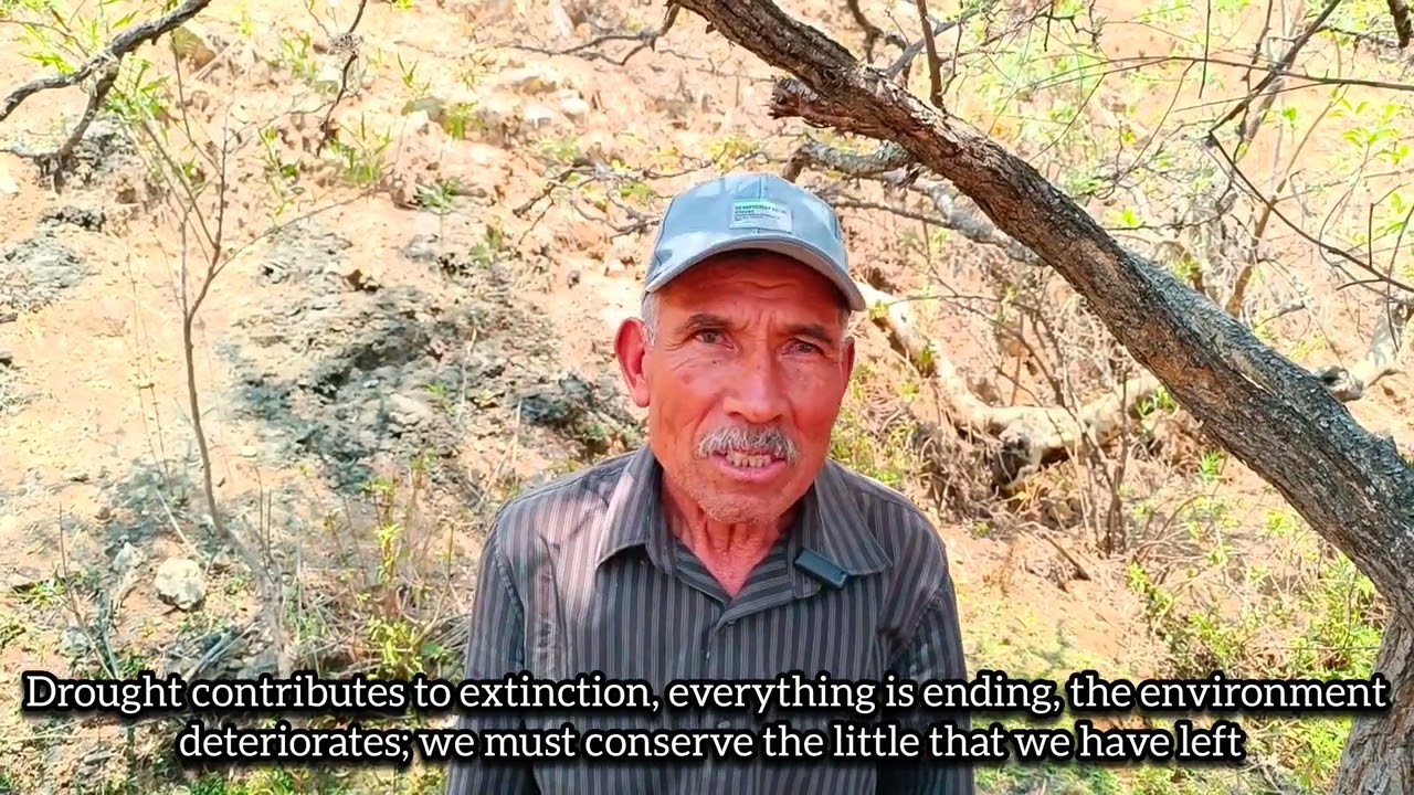 News from the Profundulus oaxacae conservation project in Jalapa del Valle 2024