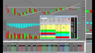 Stock Market Trading Professional Stock Traders (Market Makers) vs Day Traders