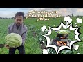 حلة محشي على الكانون الفلاحي دماااااار شامل حلة محشي على الكانون الفلاحي دماااااار شامل