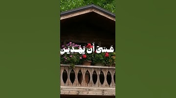 القارئ: محمد صديق المنشاوي سورة:الكهف [الآية-24]اكسبلور #fyp #foryou #myfyp #explore