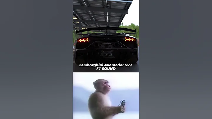 SVJ with insane Gintani exhaust 🔥 LOUDEST V12 EVER 🔊 #lamborghini #aventador #svj #v12 #gintani