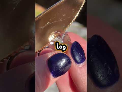 المفروض يكون عندنا اتنين في البيت