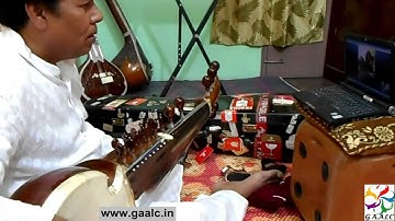 Sarod Beginners Lessons Online Skype Sarod Training Guru India trainer Instructors classes