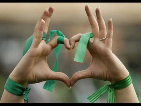 Green Movement - A song for Iran