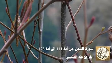 طه الفشني - سورة النّحل من آية ١١١ إلى آية ١٢٨- يَوْمَ تَأْتِي كُلُّ نَفْسٍ تُجَادِلُ عَن نَّفْسِهَا