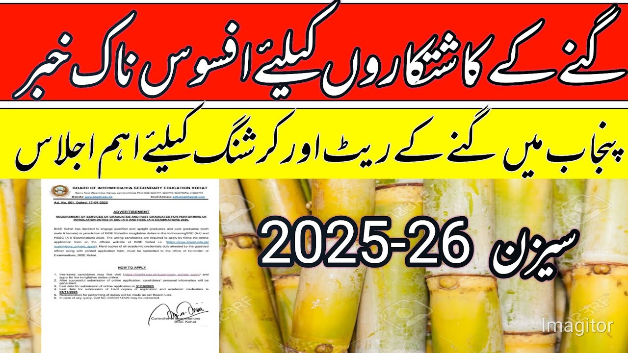 Sugacane support price in Punjab pakistan 2025-26/sugacane rates updates today/local farmers 