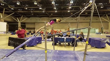 Xcel Silver Bars, 9.9