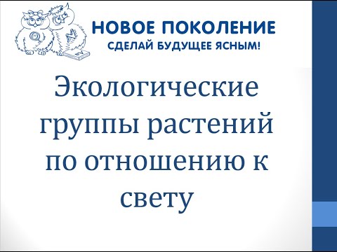 Биология. Объяснение темы "Экологические группы растений по отношению к свету"