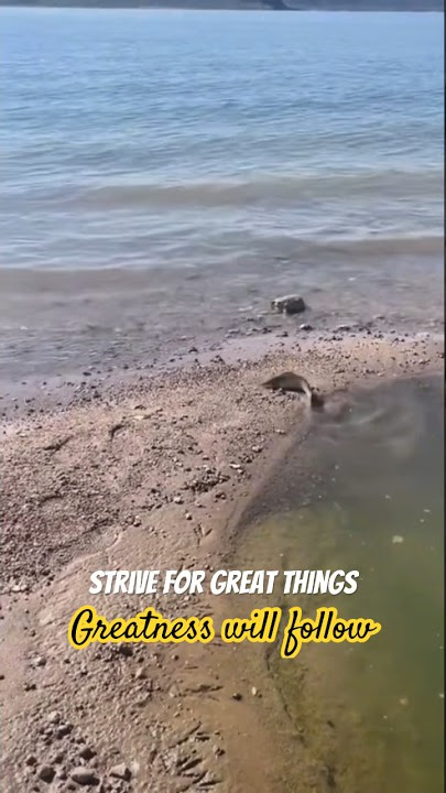 Dari Kolam ke Samudra: Perjalanan Seekor Ikan Menuju Kebesaran 🌊 | #motivasi #kesuksesan #inspirasi