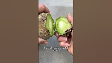 Thumbnail of Can’t believe this happened to me with edible cactus pear pads🥹🌵
