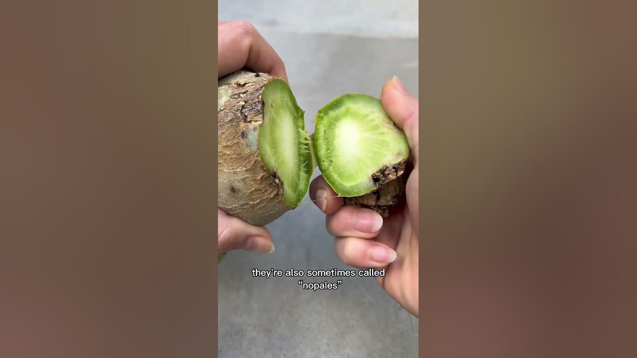 Can’t believe this happened to me with edible cactus pear pads🥹🌵