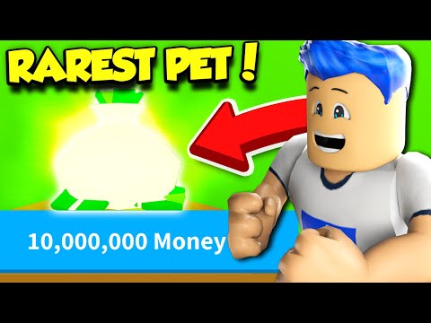 Buying The Money Bags Pet For 10 000 000 Money In Cake Simulator 22 000 Robux Roblox Youtube - money maker rig by kleinebaas roblox