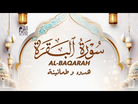Abdullah Shaaban سورة البقرة كاملة بصوت شاب عبد الله شعبان يلامس القلوب Soothing Quran Recitation  Abdullah Shaaban سورة البقرة كاملة بصوت شاب عبد الله شعبان يلامس القلوب Soothing Quran Recitation