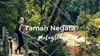 Getting to Taman Negara  World's Oldest Jungle  Malaysia