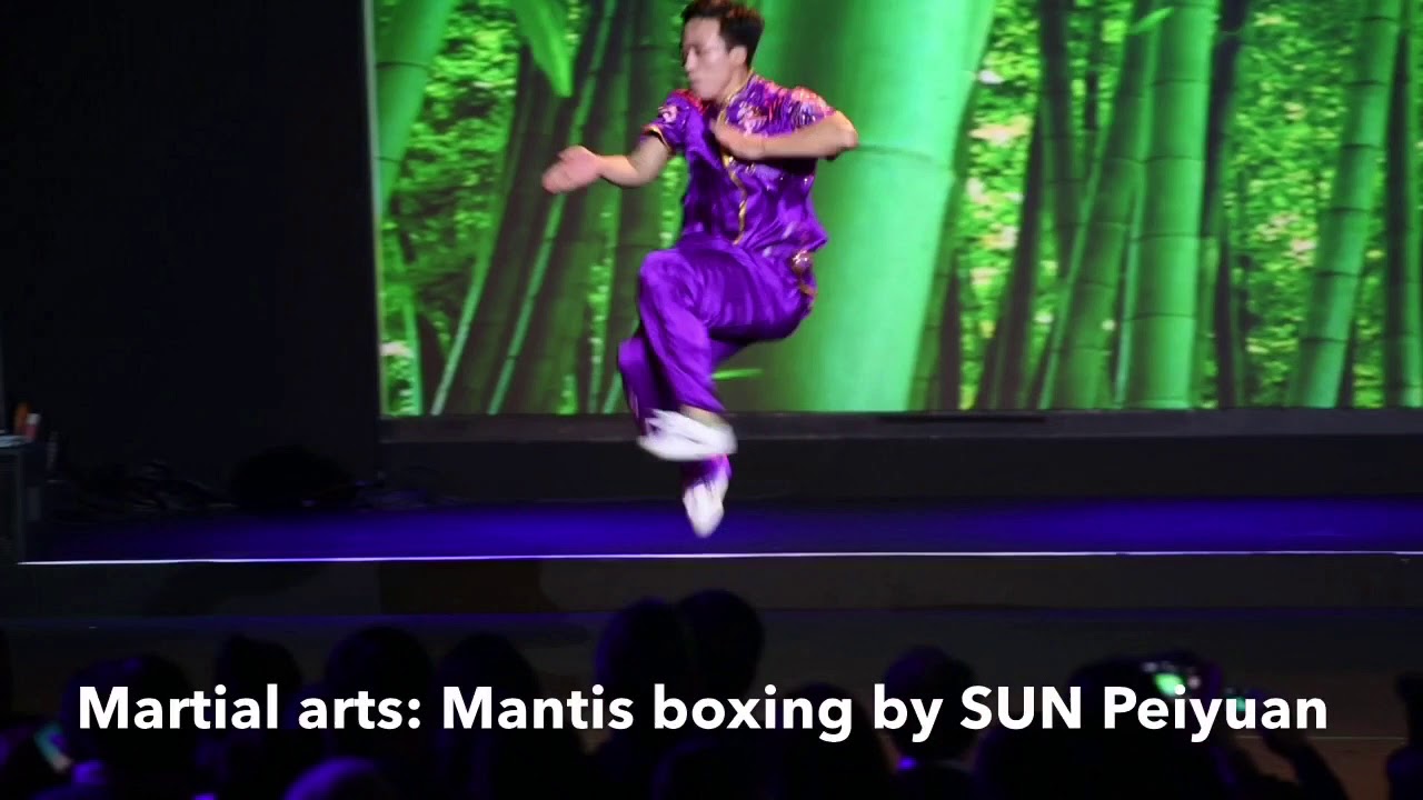 Martial arts Mantis boxing by SUN Peiyuan YouTube