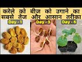 सिर्फ 3 दिन में करेले को बीज से उगाने का बिल्कुल नया तरीका, Fastest Method to Grow Bitter Gourd Seed