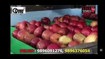 ORIGINAL VISHVKARMA APPLE GRADING MACHINE -  +919896091276