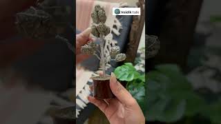 Vaidik Talk Pyrite Tree ✨ | Positive Energy, Abundance & Wealth Attraction