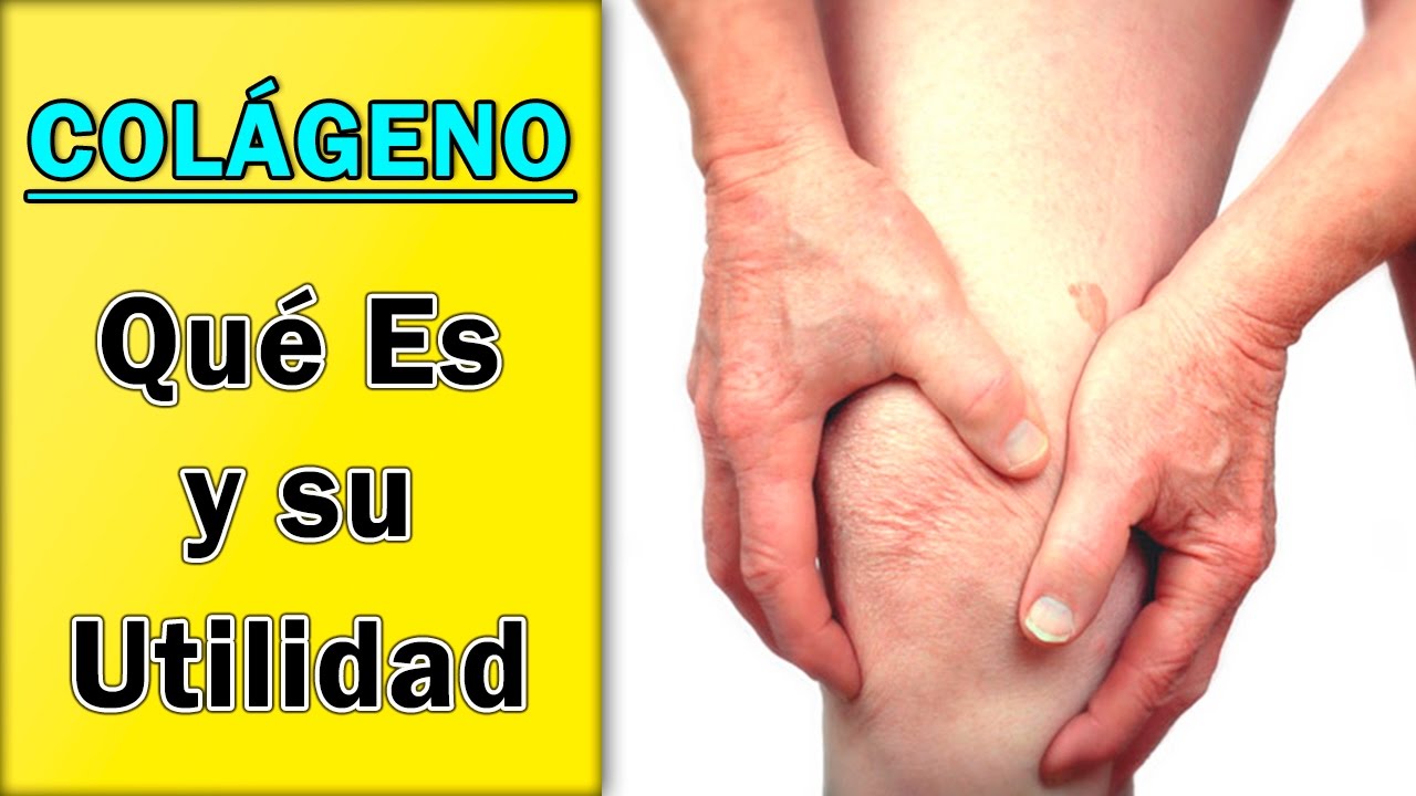 Colágeno - Qué Es y Por Qué Puede Serte Útil