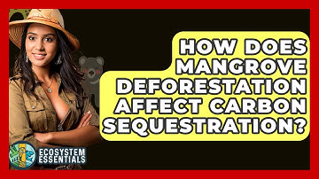 How Does Mangrove Deforestation Affect Carbon Sequestration? - Ecosystem Essentials