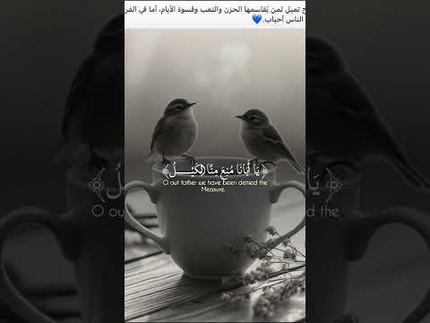 فلما رجعوا الى ابيهم قالوا يا ابانا منع الكيل قران العظماء المصحف مصر 