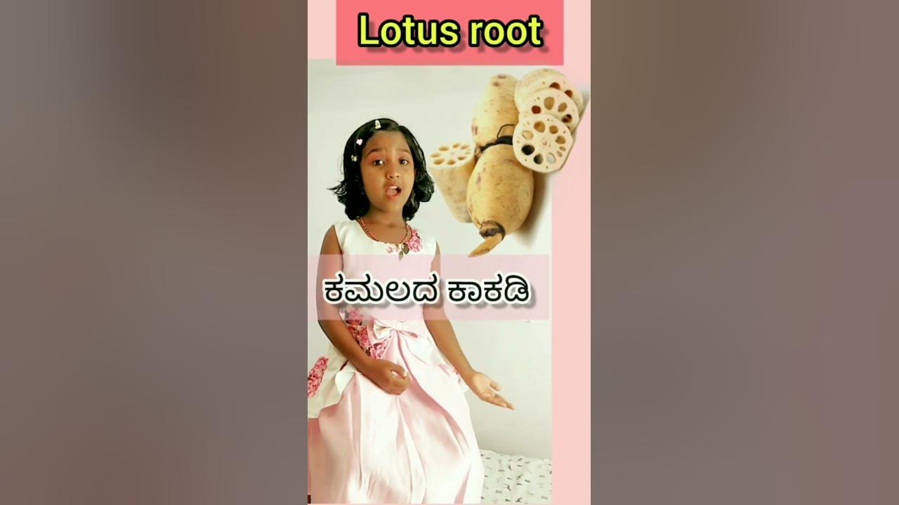 Colours Name/Learn Colours in Kannada horts YouTube