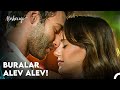 Aslı Aşk Sarhoşu - Ateşböceği 6. Bölüm