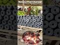 Ever Heard of Charcoal Made From Banana Peels? #banana #charcoal #viralvideo