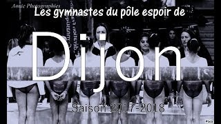 Les gymnastes du pôle de Dijon (2017-2018) 🌹