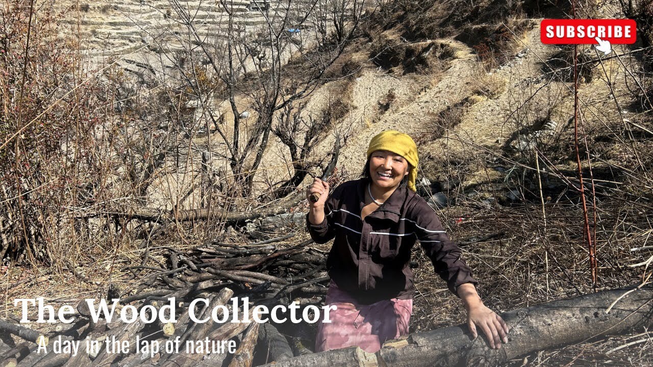 Hunting Woods On Mountain Above 5000 meter Height