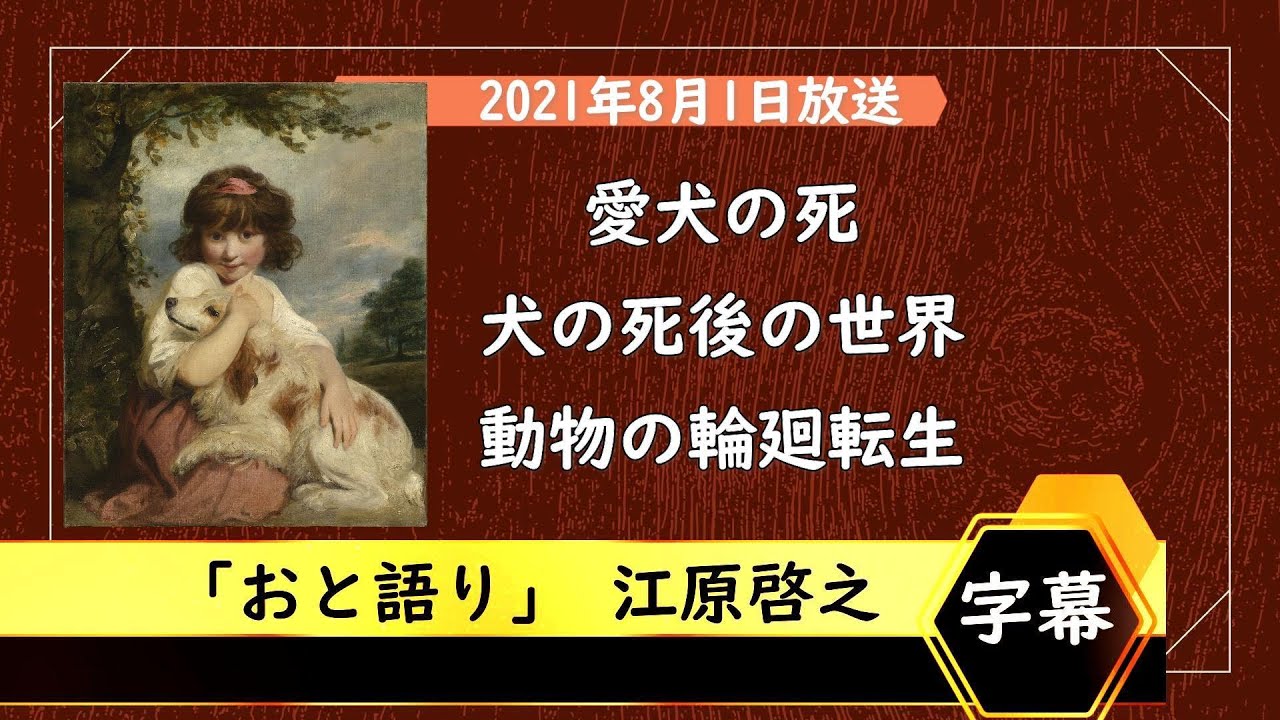 ペット 死後 の 世界 江原