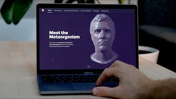 Meet The Metaorganism: New CRC 1182 Learning App