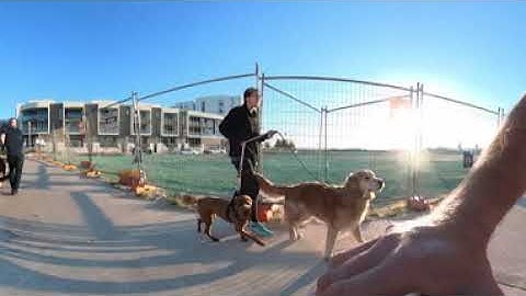 Insta360 one X2 mic vs rode wireless go 2 test in 360