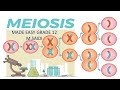 PROCESS OF MEIOSIS (MADE EASY) [ DETAILED EXPLANATION ] M.SAIDI . THUNDEREDUC