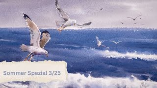 Sommerspezial - Möwen