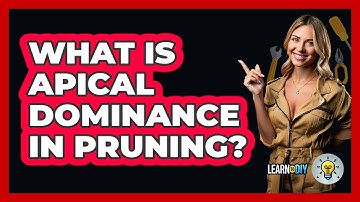 What Is Apical Dominance In Pruning? - LearnToDIY360.com