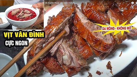 Vịt cỏ Vân Đình | SỰ THẬT về giống vịt Huyền thoại