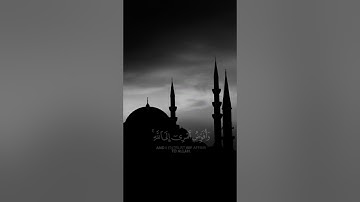 سورة غافر {الآية 44} بصوت الشيخ مشاري العفاسي بن راشد ❤️💖