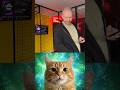 Watch to the end #aliza #cat #fun #art