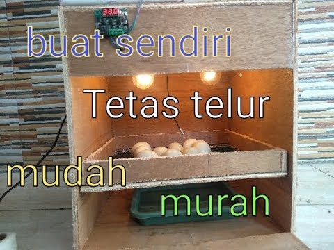 Cara Membuat Mesin Tetas Sederhana Kapasitas 50 Butir Dari Awal Sampai Siap Pakai Youtube Cara Membuat Mesin Tetas Sederhana Kapasitas 50 Butir Dari Awal Sampai Siap Pakai Youtube