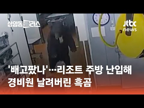 &amp;#39;배고팠나&amp;#39;…리조트 주방 난입해 경비원 날려버린 <strong>흑곰</strong> #월드클라스 / JTBC 상암동 클라스
